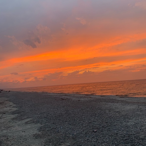 Meet your Posher, Gabi - Picture 1 of 1